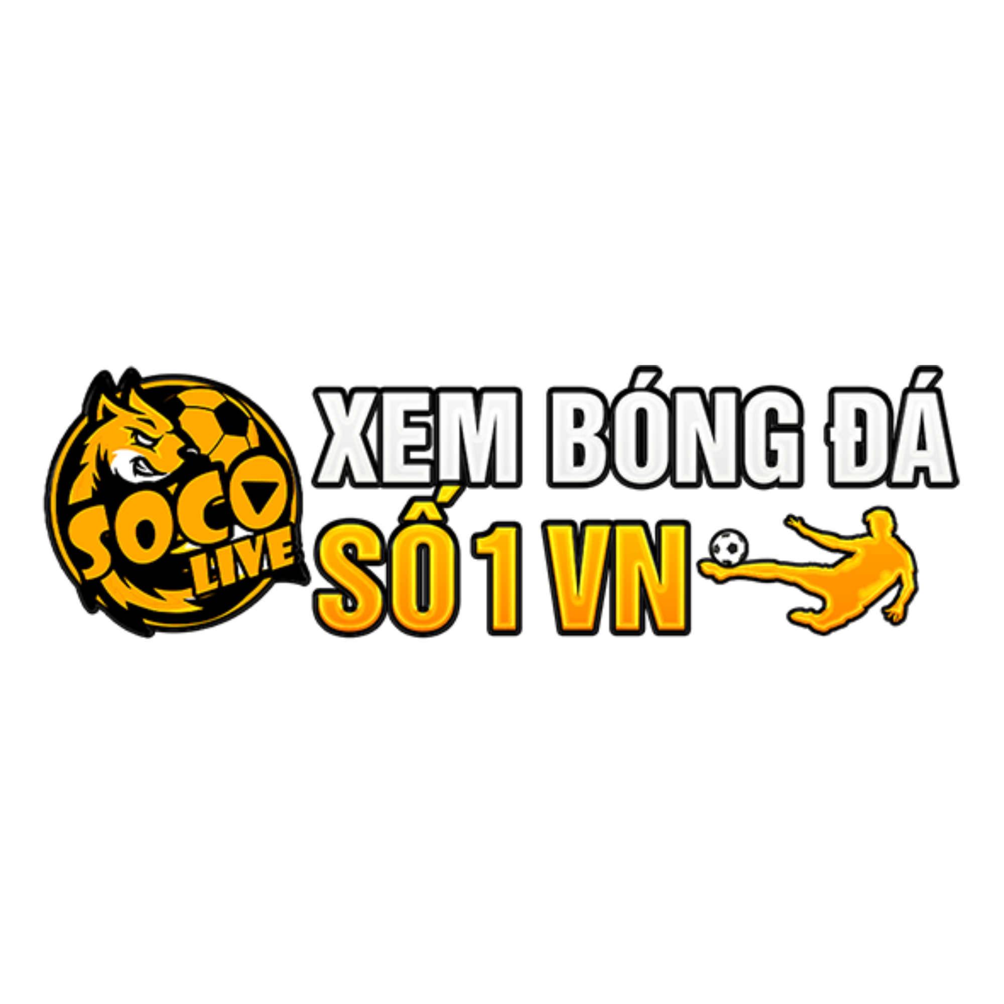 socolivetv10com1