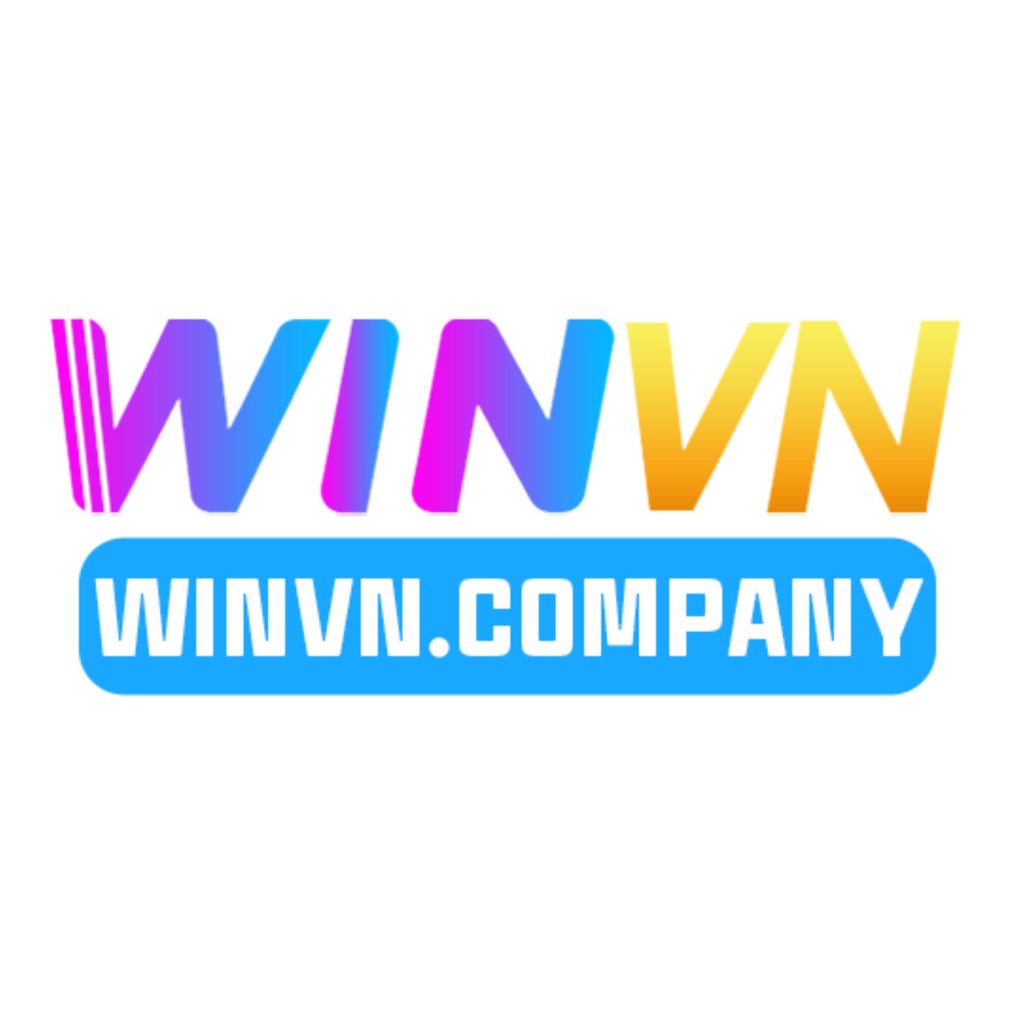 winvncompany