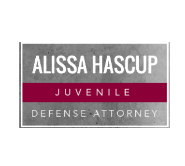 njjuveniledefenselawyer